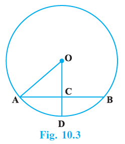 Page 99 Chapter 10 Class 9th NCERT Exemplar
